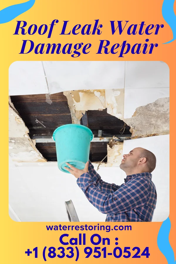 Roof Leak Water Damage Repair in Kilmarnock, VA